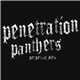 Penetration Panthers - Perpetual 80's